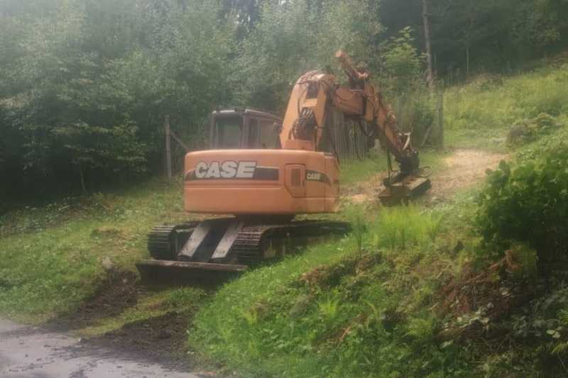 OmecoHub - Immagine CASE CX135SR